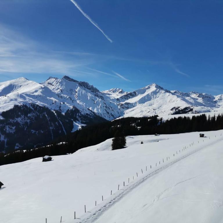 Ferienwohnung Rauch Mathilde - Apartment mit Blick auf die Berge - 36