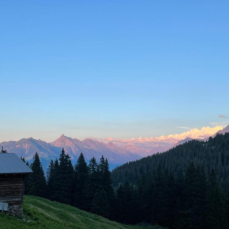 Ferienwohnung Rauch Mathilde - Apartment mit Blick auf die Berge - 32
