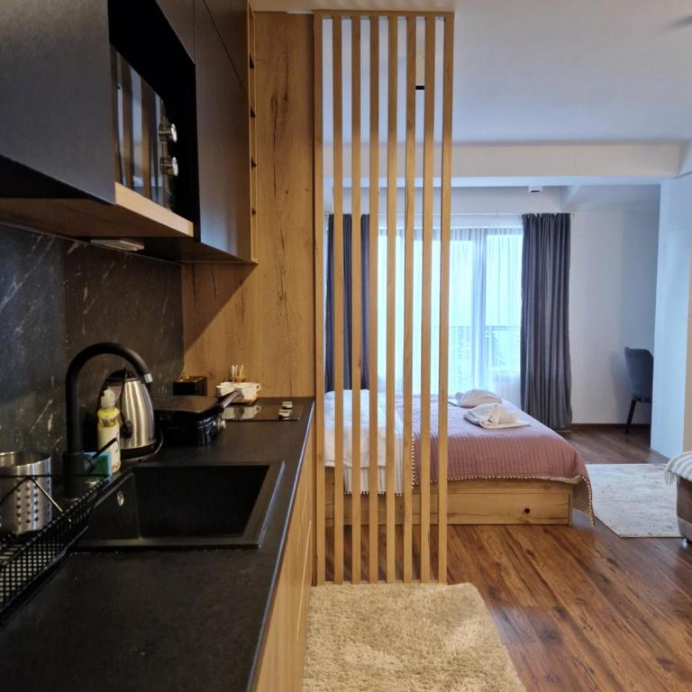 SkyKop Apartmani - Apartman sa 1 Spavaćom Sobom - 5