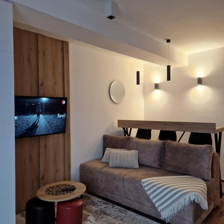 SkyKop Apartmani - Apartman sa 1 Spavaćom Sobom - 8