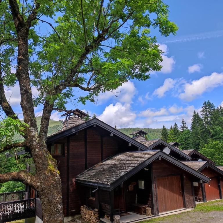 Le Chalet de Nabor - Chalet - 5