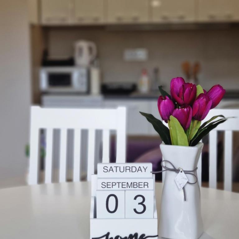 Apartman S54 - Apartman sa 1 Spavaćom Sobom - 17