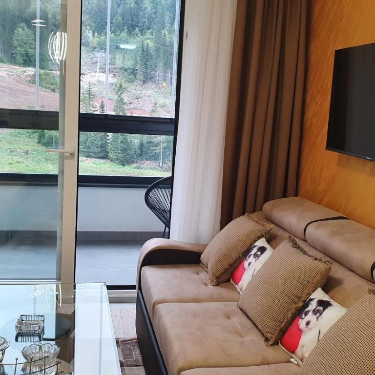 Apartmani Premium Jahorina Snjezna Dolina - Apartment with Mountain View - 11