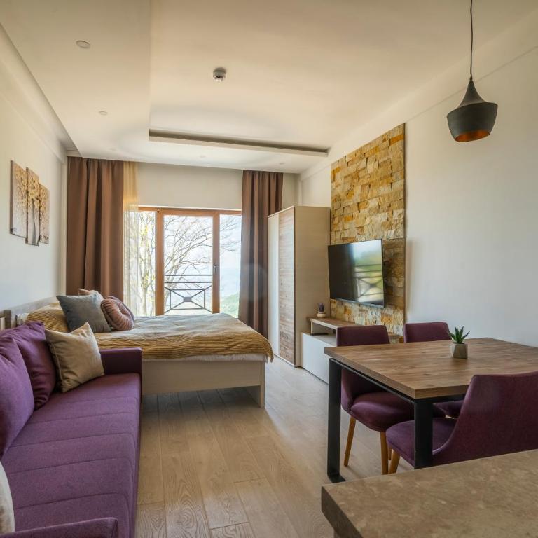 Sunset View Ski & Spa apartments Kopaonik - Studio with Mountain View - 4
