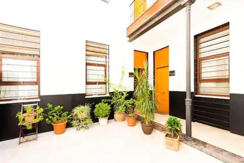 Loft zona Alameda centro Histórico - Apartamento de 1 dormitorio - 18