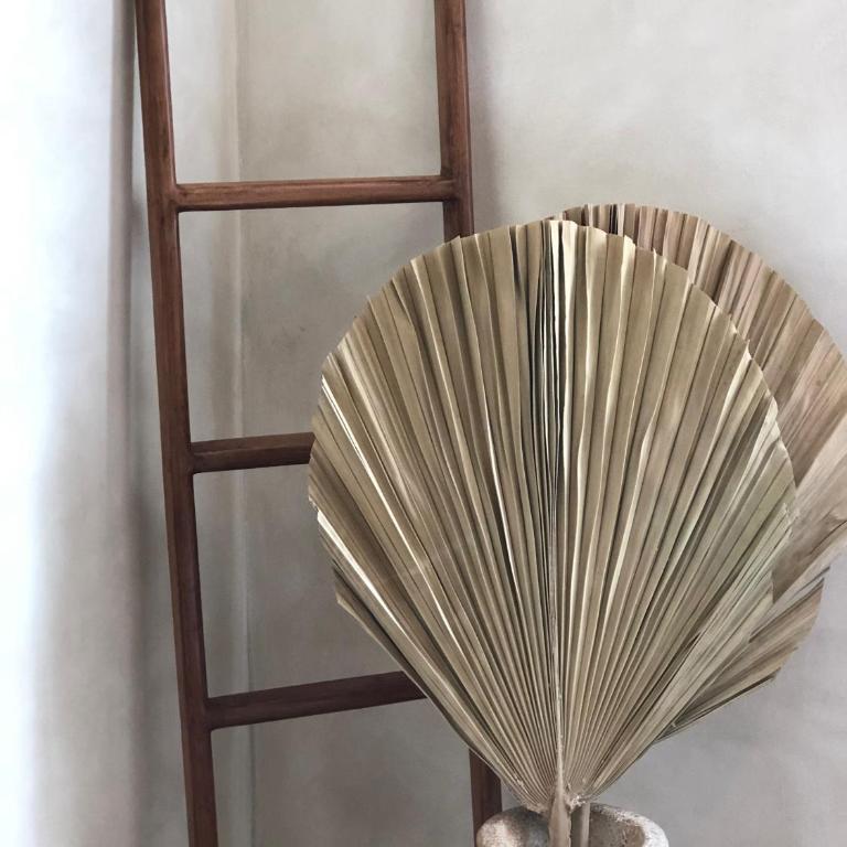 Tuluminati House-Bohemian Chic Luxury @Zama, Tulum - Villa Deluxe - 23