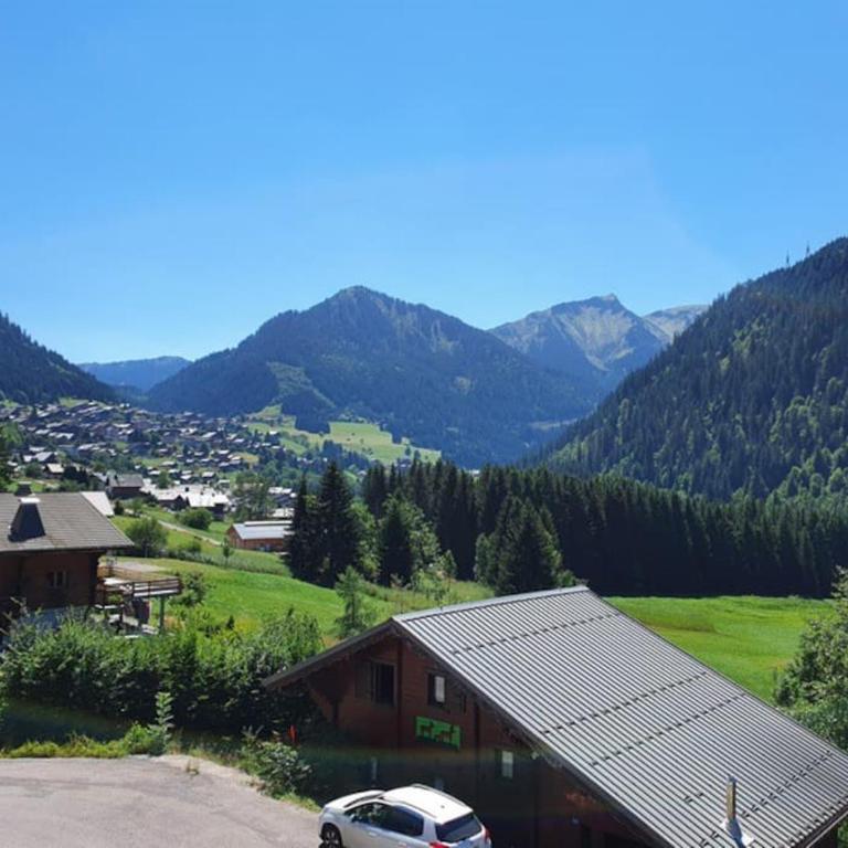 Chalet individuel 8 pers à Chatel Porte du soleil avec Jacuzzi exterieur - Chalet - 12
