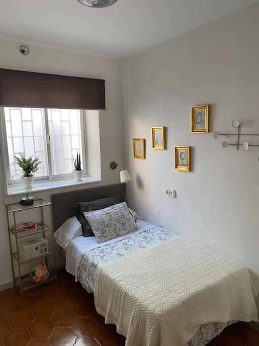 Gran casa señorial de 300m en centro histórico - Apartamento - 21
