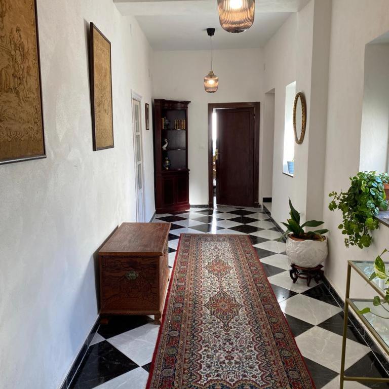 Gran casa señorial de 300m en centro histórico - Apartamento - 56