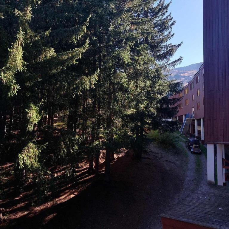 Studio 2 personnes, animaux admis, wifi inclus, proche pistes, Arc 1800 - FR-1-411-270 - Studio - 6