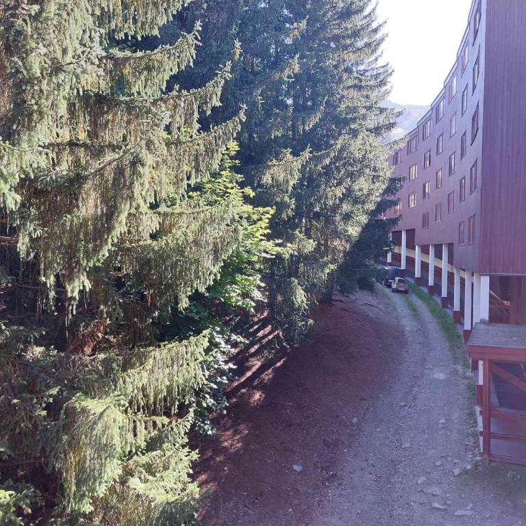 Studio 3 personnes, WiFi et animaux admis, Arc 1800 Villards - FR-1-411-143 - Studio - 6