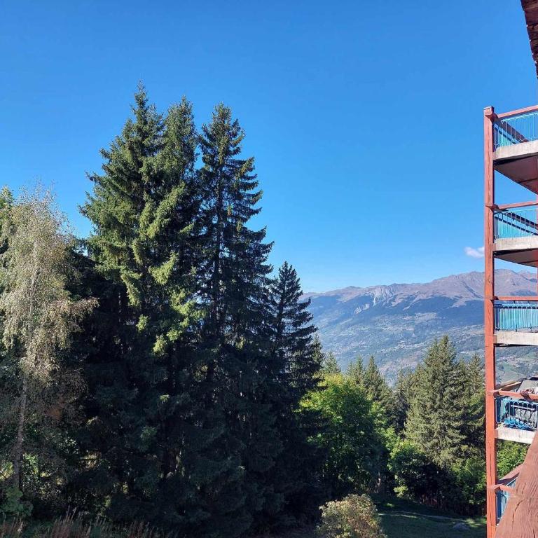 Appartement 2 pièces 6 pers, balcon, animaux admis, WiFi, Arc 1800 - FR-1-411-417 - Appartement (6 Adultes) - 4
