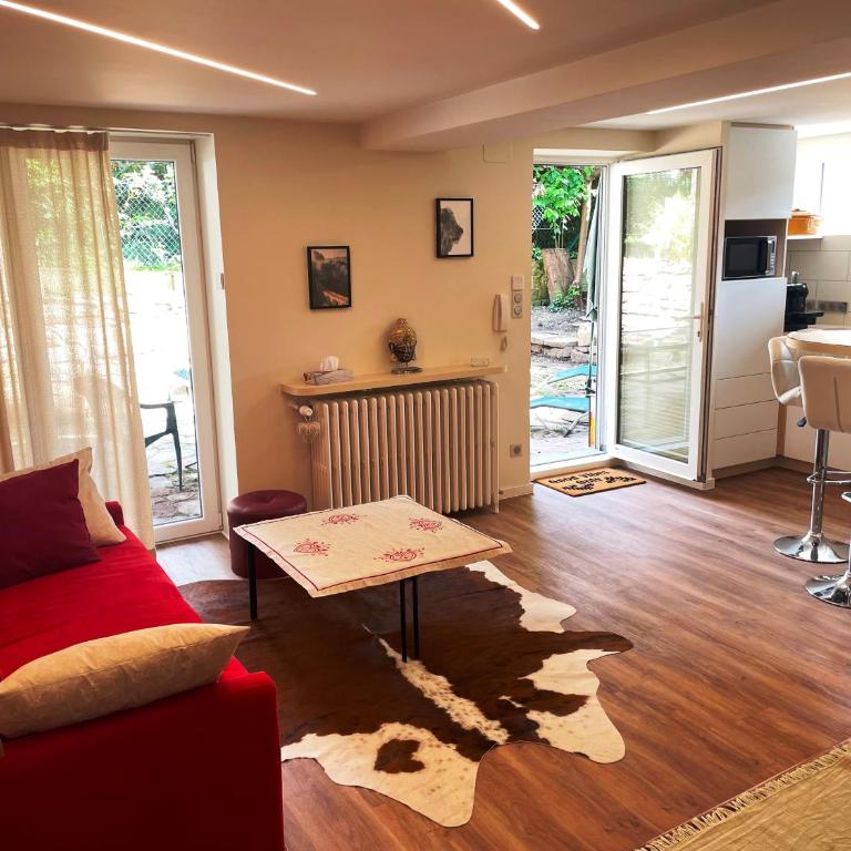 appart privé dans villa meinau résidentiel - Apartamento de 1 dormitorio - 1