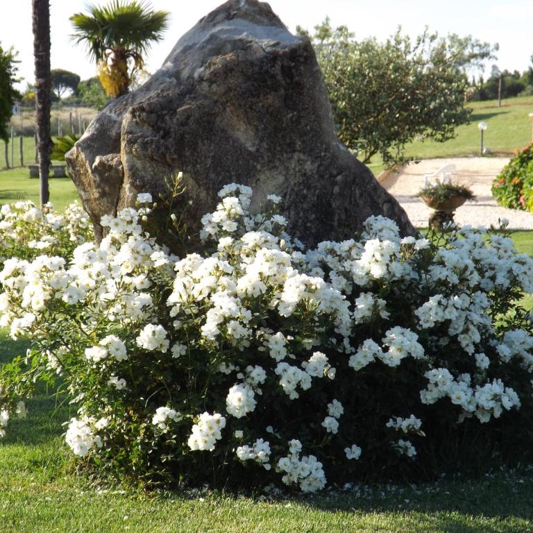 Villa la casa di Siro - Villa con Vista Giardino - 76