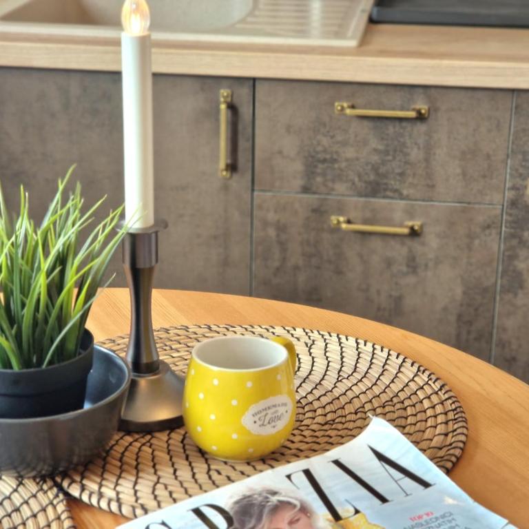 Apartman Segemonija Zlatibor - Apartman sa 1 Spavaćom Sobom - 3