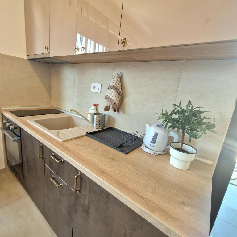 Apartman Segemonija Zlatibor - Apartman sa 1 Spavaćom Sobom - 4