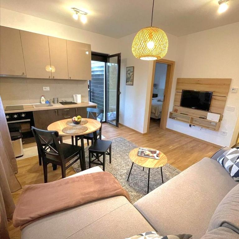 Apartman Segemonija Zlatibor - Apartman sa 1 Spavaćom Sobom - 1