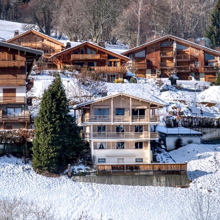Chalet NESSA - Combloux - Chalet NESSA - Panoramic View on Mont Blanc - 68