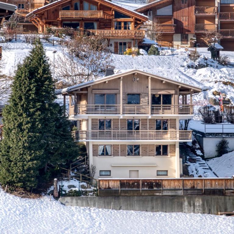 Chalet NESSA - Combloux - Chalet NESSA - Panoramic View on Mont Blanc - 64