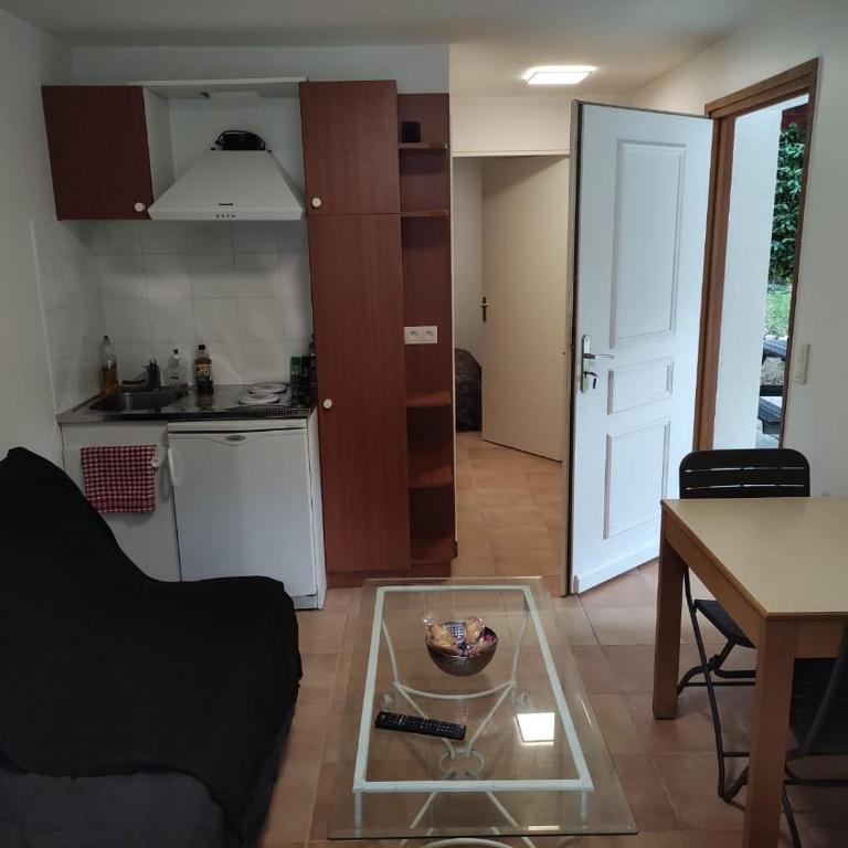 Deux pièces avec grande terrasse au calme - Appartement 1 Chambre - 1