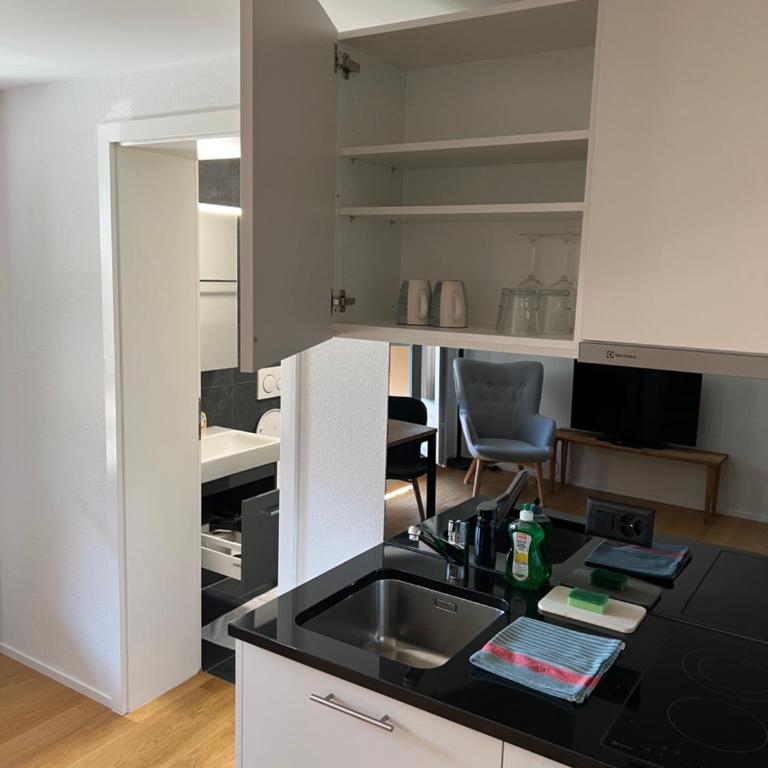 STUDIO JOHN Interlaken - One-Bedroom Apartment - 12