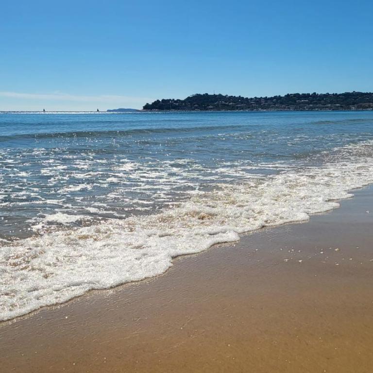 Les Citronniers - Splendide vue mer accès plage à pieds à 5 minutes - Villa con Vista Mare - 16