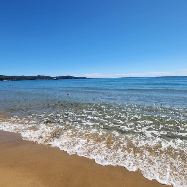 Les Citronniers - Splendide vue mer accès plage à pieds à 5 minutes - Villa con Vista Mare - 13