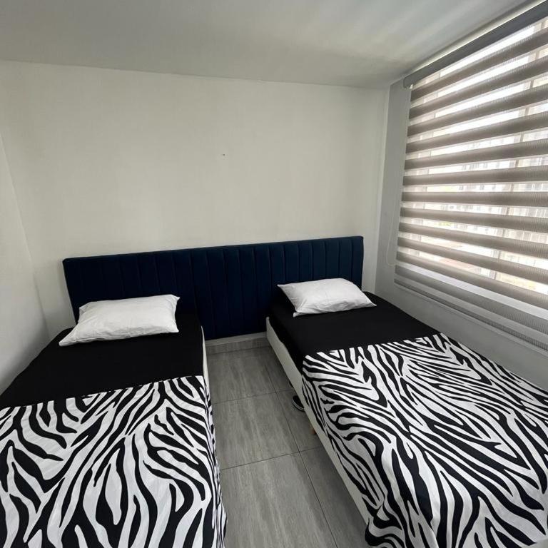 Peñalisa Club House - Apartamento de 2 dormitorios - 51