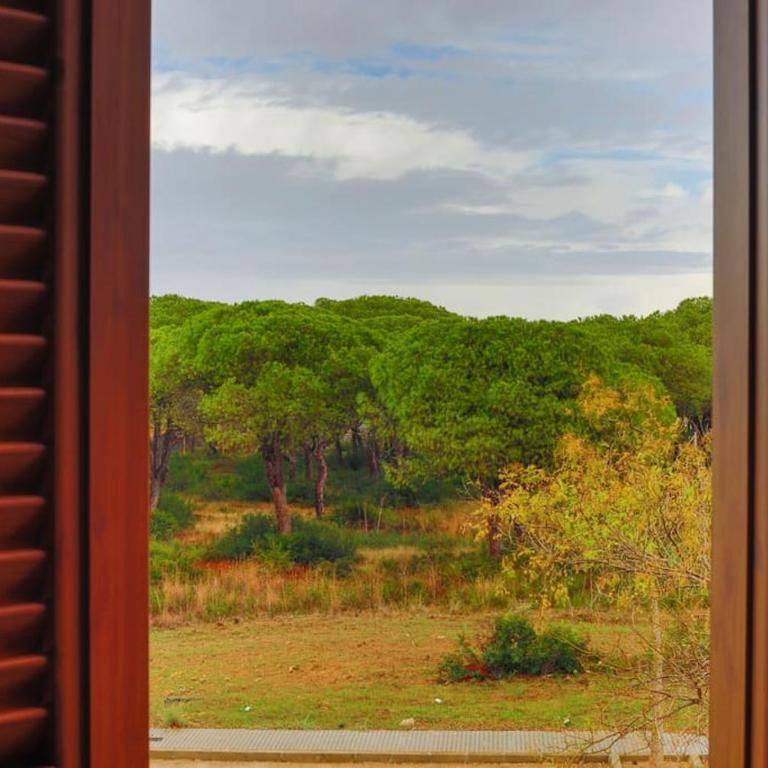 Precioso apartamento a 700 m del mar - Apartamento de 2 dormitorios - 2