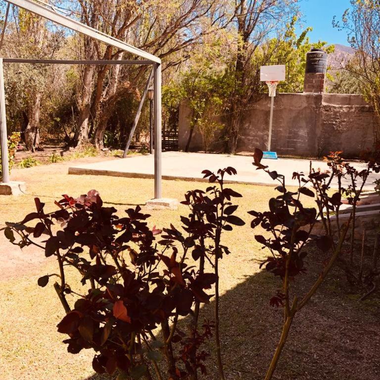 Mamá Quilla - Casa de 2 dormitorios - 20