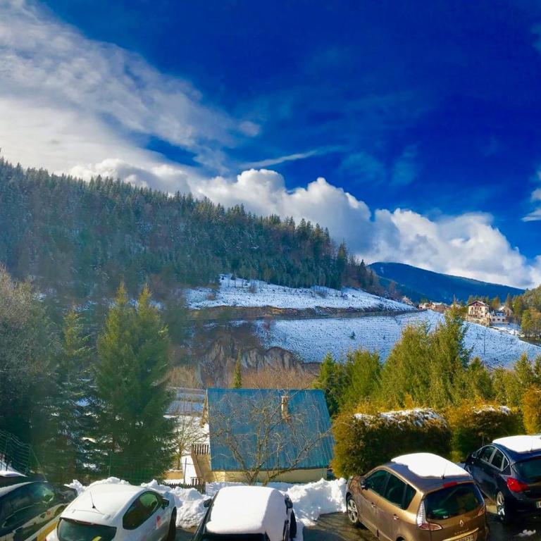 Villard-de-Lans : Apt 3 pièces, Terrasse, Animaux OK, Parking, WiFi - FR-1-515-135 - Appartement - 11