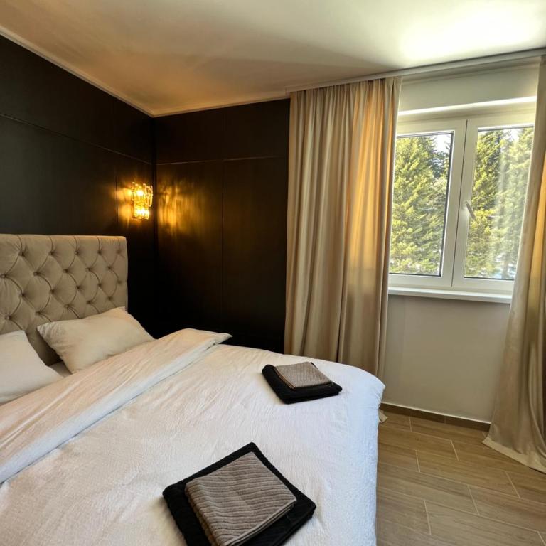MVP Apartment Kopaonik - Apartman sa 1 Spavaćom Sobom - 8