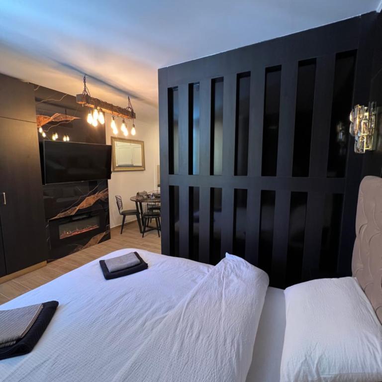 MVP Apartment Kopaonik - Apartman sa 1 Spavaćom Sobom - 10