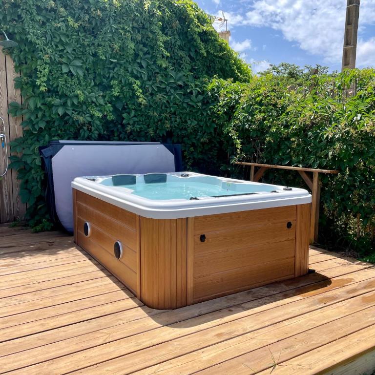 myinsolite - Tiny-house, jacuzzi, brasero, piscine - Chalet 1 Chambre - 4