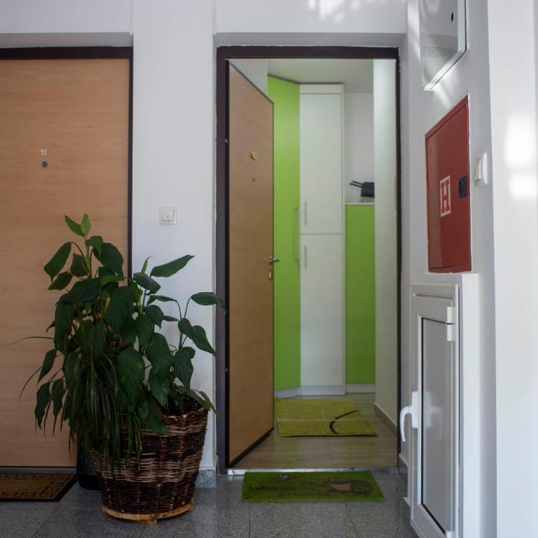 Apartment Marija - Apartman sa 1 Spavaćom Sobom - 12