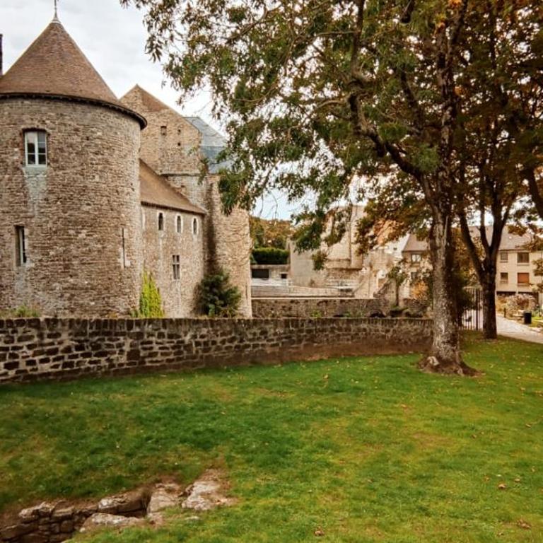 Le Godefroy de Bouillon - Appartement 1 Chambre - 10
