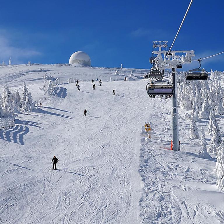 Milmari Resort Lux H-1 - Apartman sa 1 Spavaćom Sobom - 7