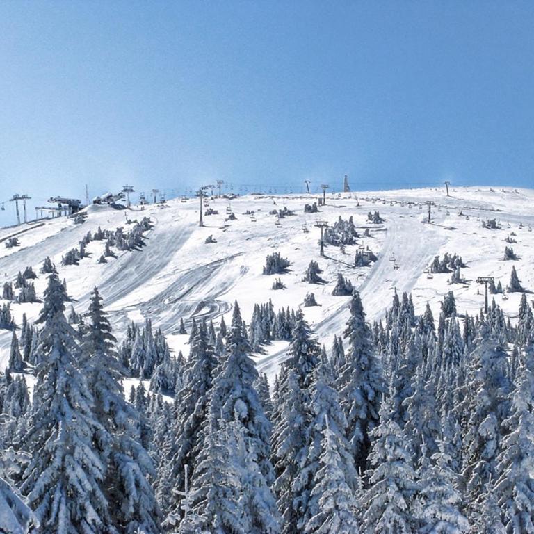 Milmari Resort Lux H-1 - Apartman sa 1 Spavaćom Sobom - 21