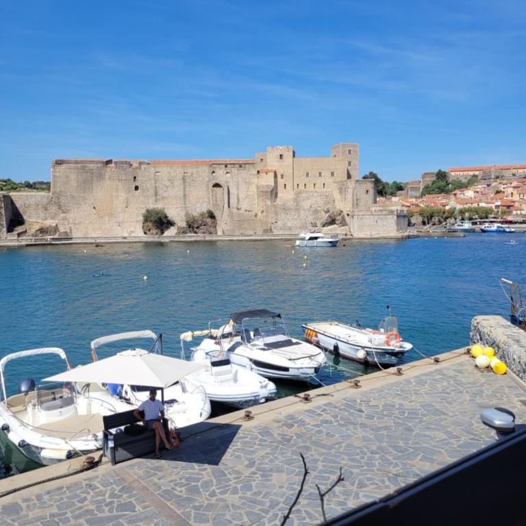 COLLIOURE tres bel appart a 150 metres des plages avec jardin prive et parking dans residence securisee - Apartamento de 2 dormitorios - 16