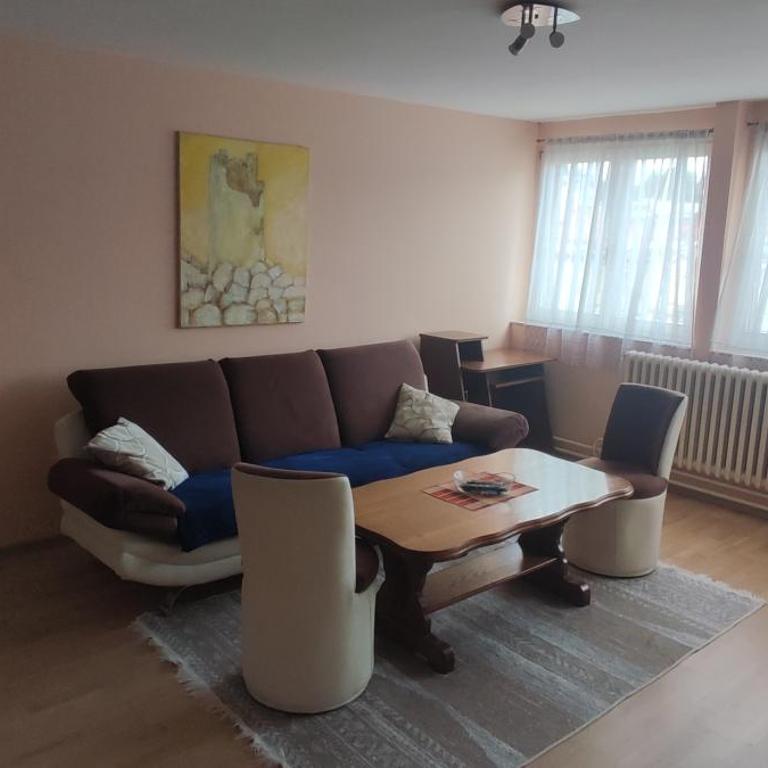 City Centre Apartament - Apartman sa 2 Spavaće Sobe - 7