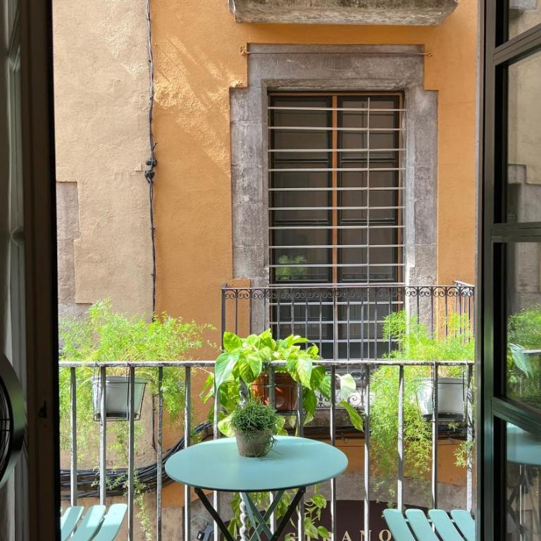 Apartamento con encanto y terraza en Barri Vell de Girona, El Cul de la Lleona - Apartamento de 2 dormitorios - 2