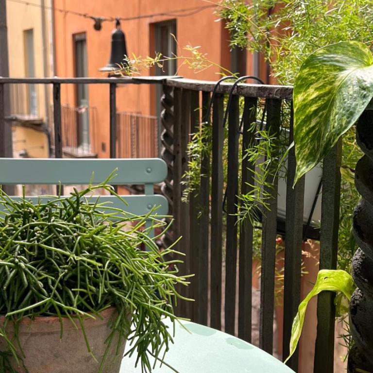 Apartamento con encanto y terraza en Barri Vell de Girona, El Cul de la Lleona - Apartamento de 2 dormitorios - 22