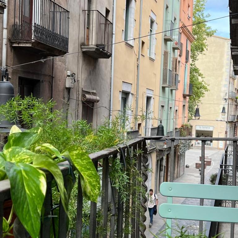 Apartamento con encanto y terraza en Barri Vell de Girona, El Cul de la Lleona - Apartamento de 2 dormitorios - 21