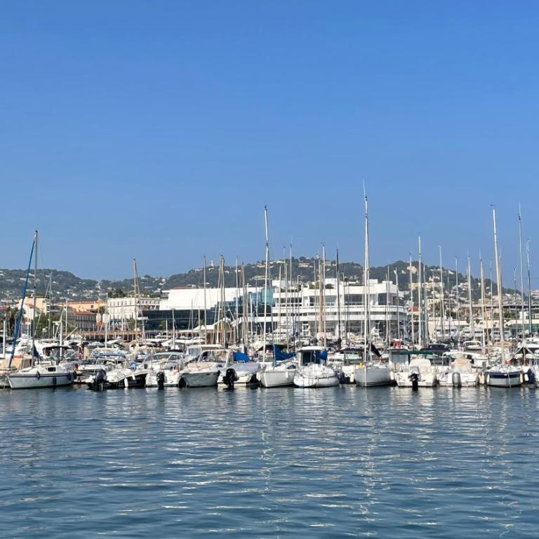 3 bedrooms in Cannes Center and south terrace - Apartamento - 32