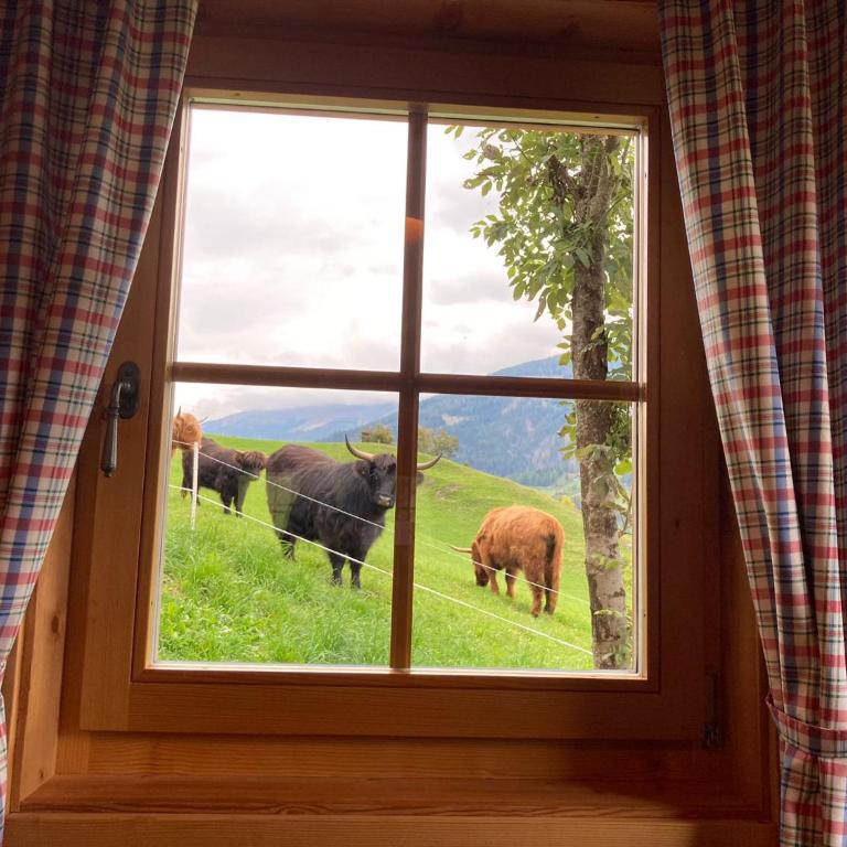 Ferienhütte Sternenblick - Haus mit 2 Schlafzimmern - 6