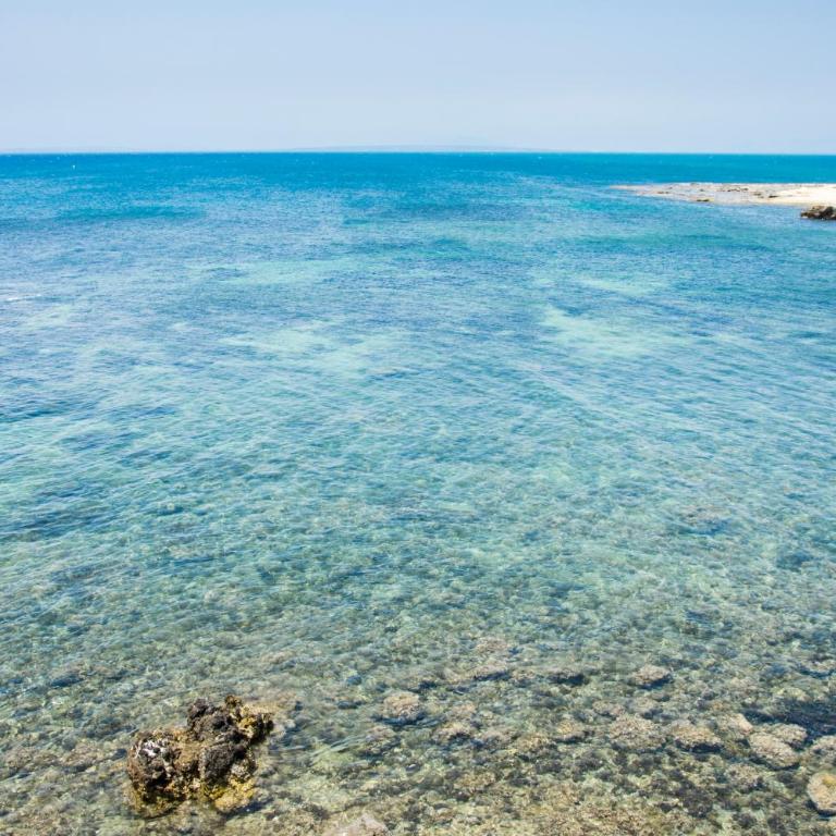 Blue House in Santa Pola - Apartamento de 1 dormitorio - 22
