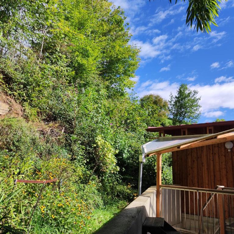 Ferienhaus am Himberg - Studio mit Gartenblick - 2