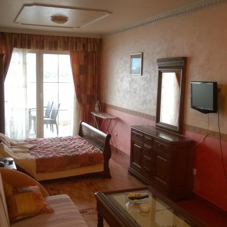 Apartments Stević - Monaco - Apartman sa 1 Spavaćom Sobom, Terasom i Pogledom na More - 1