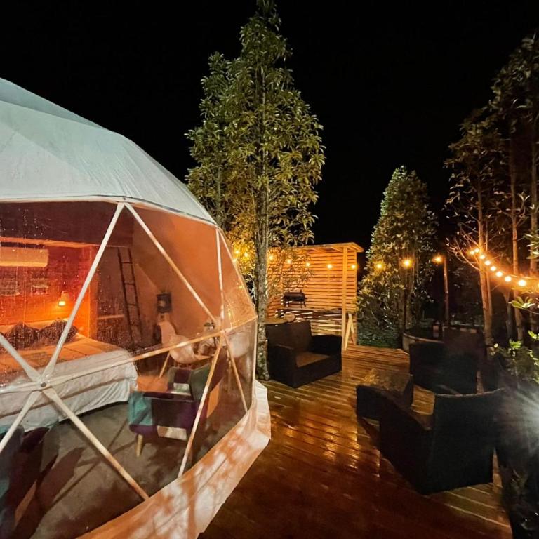 Lodge Los Alerces - Family Suite - 11
