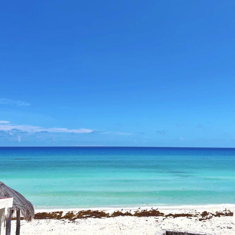 Beach, fun & relax at the Hotel Zone in Cancun - Studio with Balcony - 54